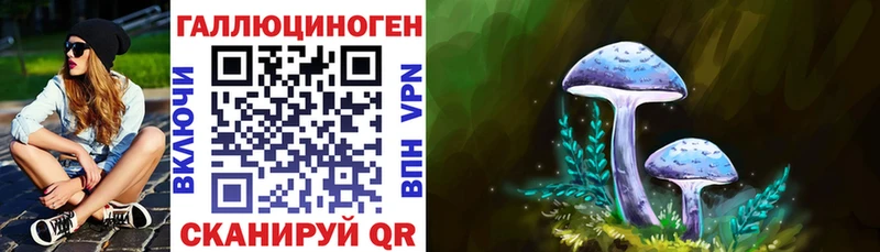 Псилоцибиновые грибы мицелий  Андреаполь 