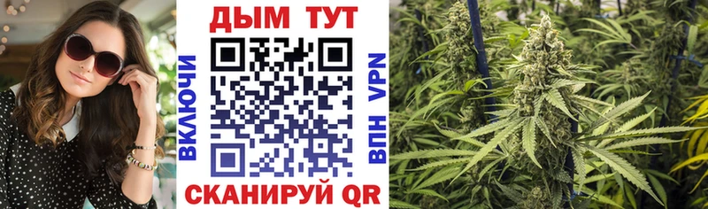 Бошки Шишки Amnesia  где можно купить наркотик  blacksprut онион  Андреаполь 